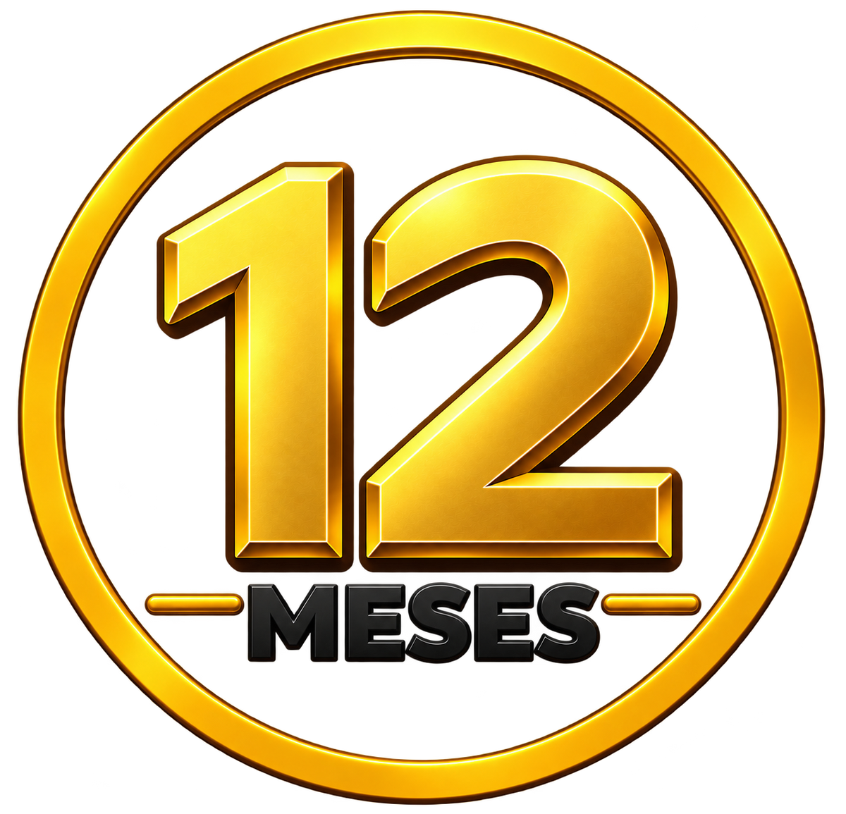 Pack Premium 12 Meses